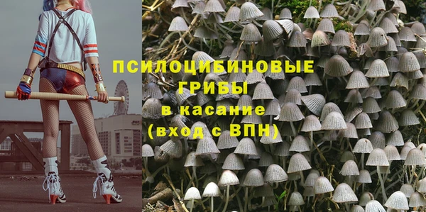 ALPHA PVP Богданович