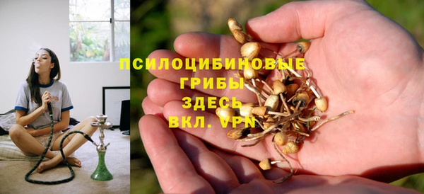 прущие грибы Бугульма